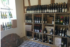 Regal mit Weinflaschen in der Vinothek Rheinweine