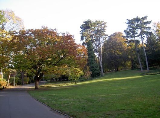 Rasenfläche mit Bäumen im Stadtpark