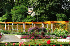 Mainzer Rosengarten