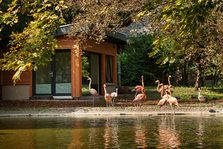 Flamingohaus im Mainzer Stadtpark