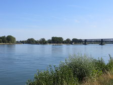 Rheinufer, Blick auf die Mainspitze und die Eisenbahnbrücke