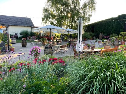 Pfalnzen und eine Terrasse mit Stühlen, Tischen und Schirmen